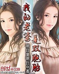 我的老婆是双胞胎全文