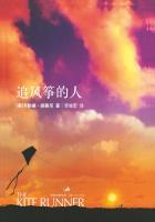 追风筝的人哈桑到底是谁生的
