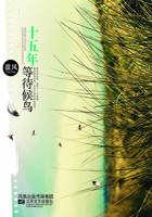 十五年等待候鸟照片