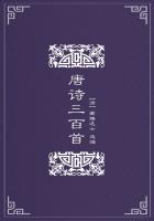 唐诗三百首都是唐朝的诗吗
