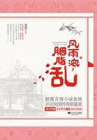 风雨浓胭脂乱人物关系图