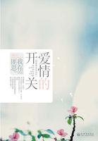 爱情的开关虐