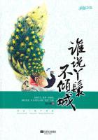 丫鬟用不起