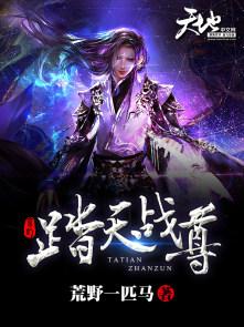 踏天至尊免费阅读