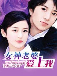 女神老婆爱上我演员表介绍