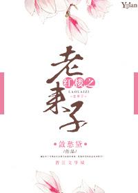 红楼之贾敬老来子