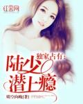 陆少爱妻成疾免费阅读