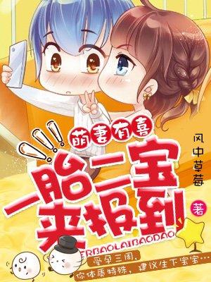 一胎二宝最新目录1352章