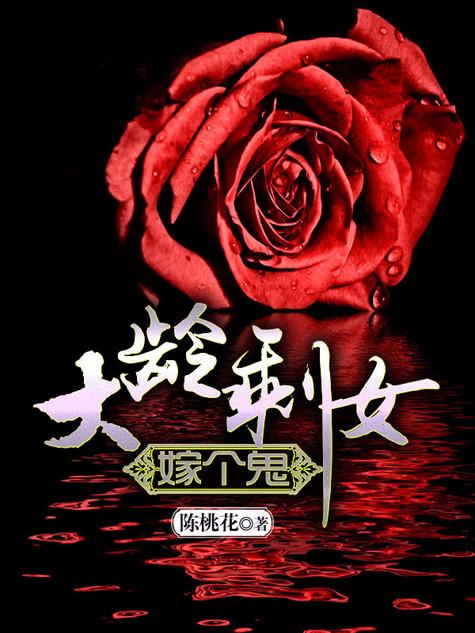 大龄剩女相亲记