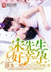 宋先生好孕二婚免费阅读