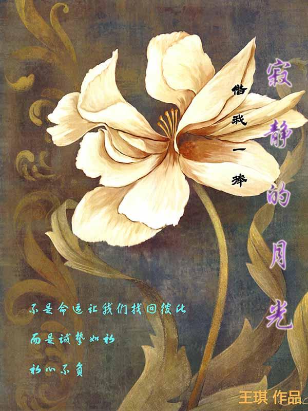 借我一片月光歌曲