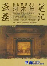 盗墓笔记河木集视频
