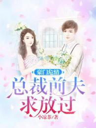 豪门债总裁前夫放过我 纳兰海映