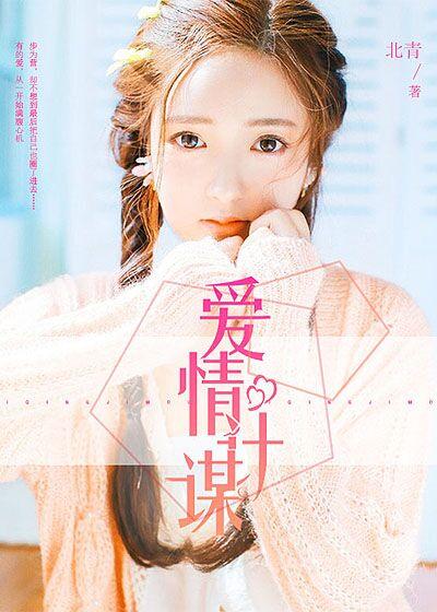 爱情计谋分集剧情介绍
