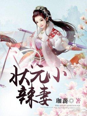 状元辣妻TXT