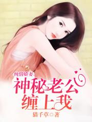 帝少的神秘狂妻免费版