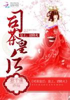 司茶皇后男主几个女人