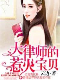 大律师的若火宝贝