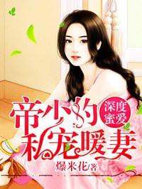 帝少的私宠暖妻无弹窗全文
