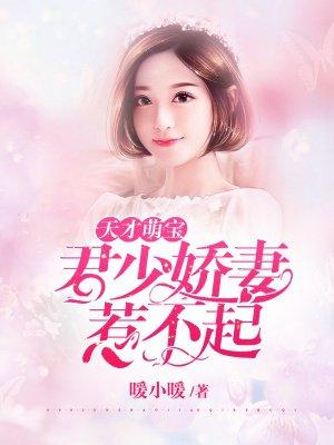 君少绝宠天才萌妻