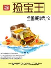捡宝王烛