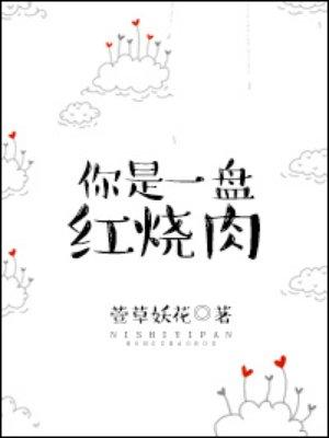 一碗红烧肉的