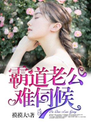 霸道老公难伺候在哪里可以看
