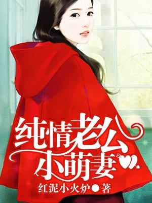 纯情老公小萌妻txt