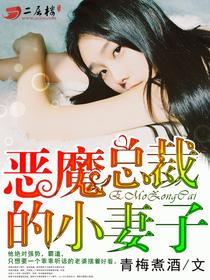 恶魔总裁的小妻子不叫卫