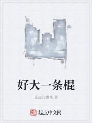 老子是什么神仙