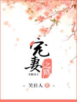 宠妻之路虐吗