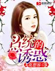 总统的诱惑免费阅读