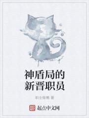 神盾局的领导