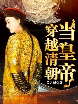 穿越到清朝当皇子的