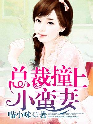 总裁撞上小蜜妻