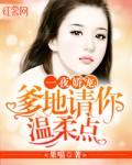 权少宠妻太凶猛全本免费阅读