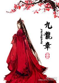 九龙章海宁大道那边九龙章