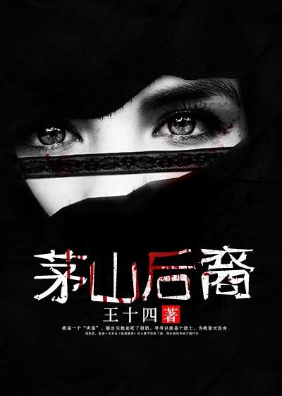 茅山秘术录王林爷爷