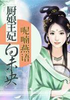 厨娘皇后作者