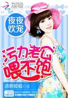夜夜欢老婆大人有点暖免费阅读全文