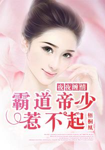 霸道总裁夜夜宠全集