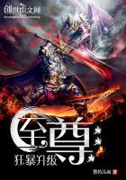 至尊狂神有多少个境界