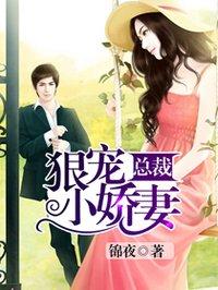 总裁超宠小娇妻
