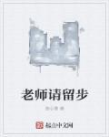 老师请留步林月心秦轩书评