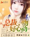 天价宠儿总裁的新妻作者是谁
