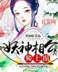 妖孽相公神探妻
