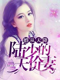 陆总的天降夫人