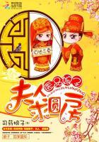 求圆房txt