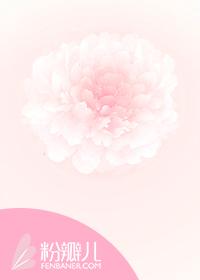 不言之爱