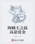 海贼王之悬赏令